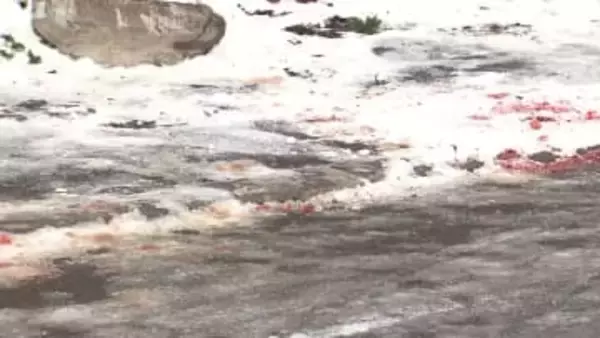 逃走していた19歳男を殺人未遂の疑いで逮捕…2025年11月に20歳知人男性を刃物で刺した後に逃走→札幌市内で1月20日に発見～警察が別の10代男の行方も捜査〈北海道札幌市〉