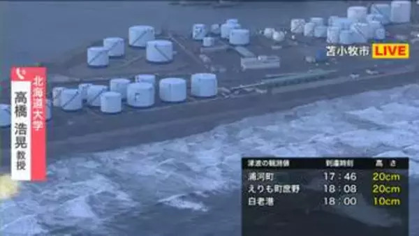 【津波解説】「50cmで歩行不能、2mで木造全壊」北海道大学・高橋浩晃教授が警鐘…岩手県沖地震による津波警報…警報と注意報で行動はどう変える？浦河町で30センチの津波観測