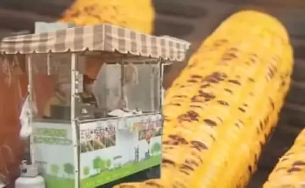 さっぽろ雪まつりで20年以上親しまれた名物"とうきびワゴン"が出店中止を決断『アートをコンセプトにする会場の雰囲気に合わないので遠慮してほしい』新提案「とうきびウナギ」も受け入れられず