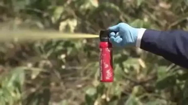 『クマ撃退スプレーの噴射実験』で高校生3人搬送＿目の痛み訴え動けず＿部活仲間6人で三角山へ〈北海道札幌市〉