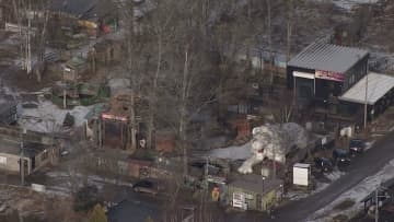 【閉園決定後に妊娠か】ノースサファリで“ライオンが双子出産”＿256匹の動物の移転先探しは難航中…札幌市関係者「数を減らさなくてはいけないのに…」ノース側は「意図的ではない」〈北海道札幌市〉