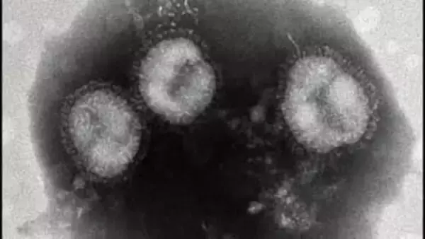 【インフルエンザ警報】札幌市で今シーズン2回目の発令―定点あたり33.45人で基準超え ―手洗い・咳エチケットの徹底を＜北海道＞