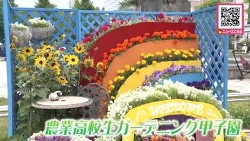 「それぞれ色々な良さがあってすごくキレイ！」初夏の札幌・大通公園を花で彩る『花フェスタ』開幕―“農業高校生ガーデニング甲子園”この日にあわせて育てた花々を飾りつけ訪れた人を魅了_北海道