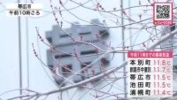 【春めく】帯広市周辺で15℃前後か_北海道内で今年一番の暖かさになりそう…木の芽の芽吹きを促すような”4月下旬並み”の暖かさに＜北海道＞