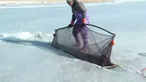 明治から続く伝統「氷下待ち網漁」厚さ約20センチの氷の穴に仕掛けた網にはコマイやワカサギ！近年は“温暖化影響”で結氷する面積が減少傾向に〈北海道風蓮湖〉