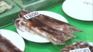 【函館に活気戻る】スルメイカ漁 “約3週間ぶり”に小型船が水揚げ_観光客は「食べられてよかった」”競りの最高値”7900円に関係者は「みんな頑張って買ってくれた」〈北海道〉