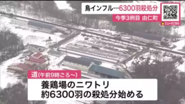 【今季3例目】鳥インフルで約6300羽殺処分…道内の卵を産むニワトリの約0.1％→卵の流通に問題なし「卵や鶏肉は安全」鈴木知事は冷静な行動呼びかけ〈北海道由仁町〉