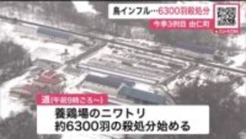 【今季3例目】鳥インフルで約6300羽殺処分…道内の卵を産むニワトリの約0.1％→卵の流通に問題なし「卵や鶏肉は安全」鈴木知事は冷静な行動呼びかけ〈北海道由仁町〉