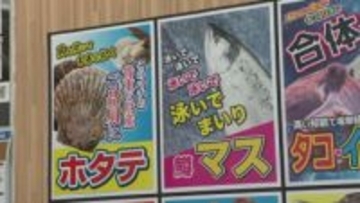 【衆院選の裏で「海産総選挙」】”3回連続首位”のホタテに「タコ・イカ連合」「泳いで、泳いで、泳いでまいりマス」などが挑む！新人候補に風は吹くのか？＜北海道・豊浦町＞