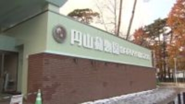 【ヒグマ出没の円山動物園11月17日から再開へ】箱わなでクマ駆除するも…安全確認のため休園を延長〈円山公園一部の歩道は動物園とともに開放へ〉公園全域は24日まで閉鎖予定_北海道札幌市