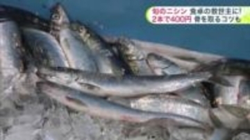 「幻の魚」ニシンが北海道に復活_今春も道南で続々水揚げ！物価高のなか食卓の救世主になるか…小骨が多くて食べづらい？プロの技で骨も気にせず美味しく食べられるコツも伝授