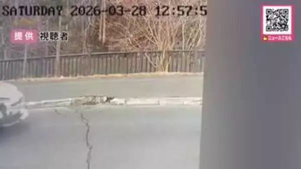 「「人がいるのに後退した」コンビニ店員女性にけがをさせ…付近住宅の車に当て逃げも　34歳男を逮捕　無免許で運転＜北海道千歳市＞」の画像