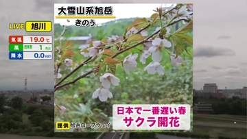 【北海道の天気 22日(月)】道南は雨が続く 道央・道北は急な雷雨に注意…今週は気温変化が大きく体調管理は万全に！