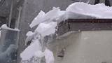 「【雪下ろし代行】記録的大雪の札幌で”屋根の雪下ろし”は待ったなし！2人態勢で歩行者にも配慮しながら危険な氷や雪庇に対応_業者は「札幌市社会福祉協議会」のHPで検索し依頼する前に必ず”見積もり”を！」の画像1