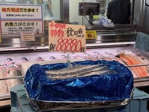 【最新】初水揚げされた“旬のサンマ”1匹8万8880円の高値で6匹店頭に…客の男性が6匹全部を購入し即完売_初競りでは1キロ44万円と釧路で歴代最高の価格で地元の鮮魚店が競り落とす〈北海道釧路〉