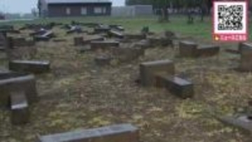 なぜ？墓石58基を次々と…12基は土台から引き倒される_北海道月形町で"墓荒らし"1区画すべてのお墓が倒される_前日夕方から早朝にかけての犯行か？警察が器物損害容疑で捜査