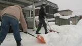「【日本海側・大雪と吹雪に警戒】朝から雪かきの市民…「いやもう勘弁してほしいです」札幌20センチ・余市30センチ超の積雪＿12日昼までに50センチの降雪予測も〈北海道〉」の画像1