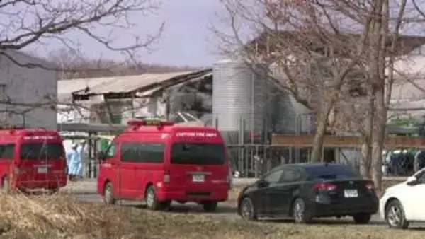 【卵の供給に影響は】北海道最大手「ホクリヨウ」の養鶏場から出火しニワトリ約4万羽が焼け死ぬ…”鳥インフルで殺処分”相次ぐ中での”火災”に行政機関・小売業者は？＜千歳市＞