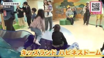 「楽しい！」「中で遊べる施設があるのはありがたい！」おびひろ動物園に屋内新施設“キッズランド・ハピネスドーム”オープン_アフリカのサファリをイメージして遊んで学べる_北海道帯広市