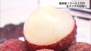 国内産は貴重　宮崎県産の生ライチ　初競りの最高値は9粒で3万円