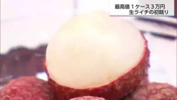 国内産は貴重　宮崎県産の生ライチ　初競りの最高値は9粒で3万円