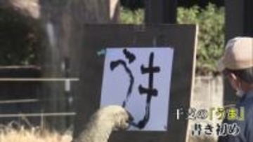 家族連れなどでにぎわう　宮崎市フェニックス動物園で正月イベント