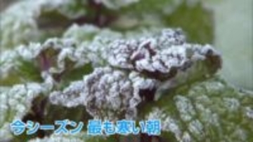 厳しい冷え込み　宮崎県内ほとんどの地点で氷点下を記録　五ヶ瀬町は-8.4℃