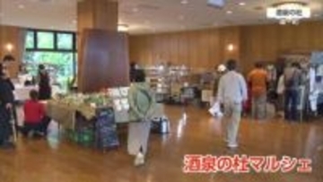 GW後半　綾町「酒泉の杜マルシェ」　多くの家族連れでにぎわう
