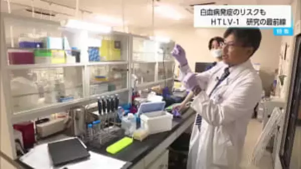 白血病の発症リスクになるウイルス　HTLV−1　研究の最前線