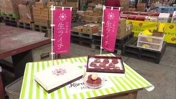 貴重な国産　宮崎でとれた生ライチの初競り　最高値は1ケース9粒入り3万円