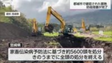 都城市で確認された豚熱　14日に防疫措置完了