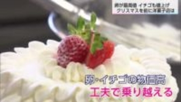 卵が最高値を記録　イチゴも値上がり　クリスマス前の洋菓子店にも影響が