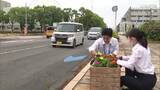 「「通勤時に癒やしを」JR宮崎駅東口周辺で花の植栽活動　企業や団体100人が参加し街を彩る」の画像1