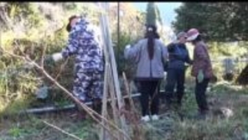 土呂久鉱山事務所跡地のサクラをシカの食害から守る　宮崎国際大学の学生がシカ防護用ネット設置