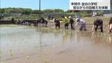 「全校児童が昔ながらの田植えを体験　串間市の金谷小学校」の画像1
