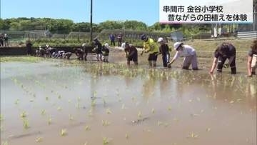 全校児童が昔ながらの田植えを体験　串間市の金谷小学校
