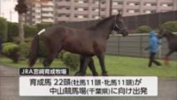 トラックで千葉まで移動　JRA宮崎育成牧場　育成馬22頭が出発