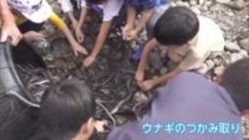 地元の川に親しむ　日南市の酒谷川で「川祭り」