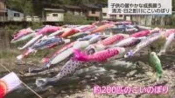子供たちの健やかな成長を願って　日之影川にこいのぼり