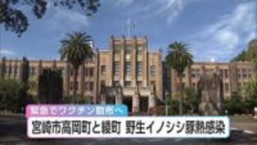 宮崎市高岡町と綾町　新たに野生イノシシ2頭が豚熱感染