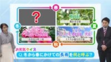 ２月19日（木）宮崎の天気 晴天と乾燥つづく 日差しの温もりも