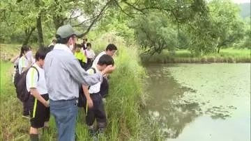 「駆除活動に参加したい」延岡市の中学生が家田湿原で学習　絶滅危惧種を守る大切さを学び、未来へつなぐ