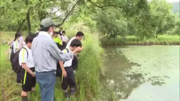 「駆除活動に参加したい」延岡市の中学生が家田湿原で学習　絶滅危惧種を守る大切さを学び、未来へつなぐ