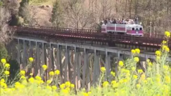 「後世に伝えるためにも残していきたい」高千穂橋梁　国登録有形文化財登録へ