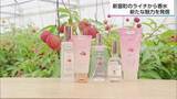 「フェルナンダ　宮崎県新富町産ライチの「規格外品」を用いた香水を数量限定販売」の画像1