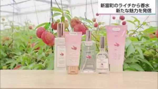フェルナンダ　宮崎県新富町産ライチの「規格外品」を用いた香水を数量限定販売