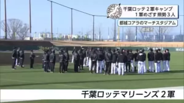 千葉ロッテマリーンズ2軍　キャンプリポート
