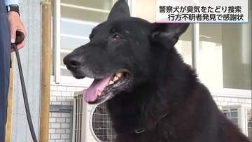 行方不明者を約6分で発見！宮崎市で活躍した警察犬「ジーク号」と指導士に警察から感謝状