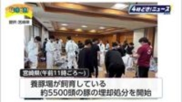 都城市の養豚場で豚熱の感染確認　5500頭の豚の埋却処分始まる