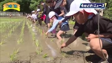 「おいしいお米になってほしい」日南市・酒谷小学校で田植え体験